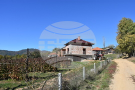 Сърбия - село Груинци - репортаж