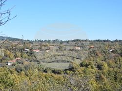 Сърбия - село Груинци - репортаж