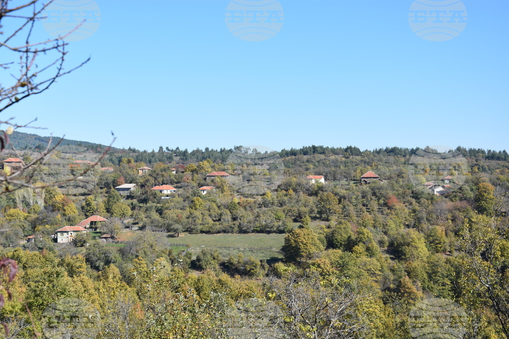 Сърбия - село Груинци - репортаж