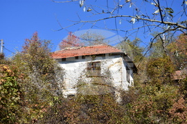 Сърбия - село Груинци - репортаж