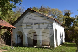 Сърбия - село Груинци - репортаж