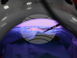 Снимка: Вяра Йовева