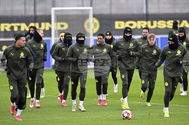 Германският футболен експерт Дитмар Хаман смята, че Борусия Дортмунд трябва да назначи Нико Ковач за временен треньор