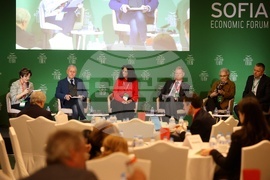 Софийски икономически форум