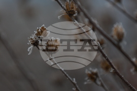 Ежедневие - студено време