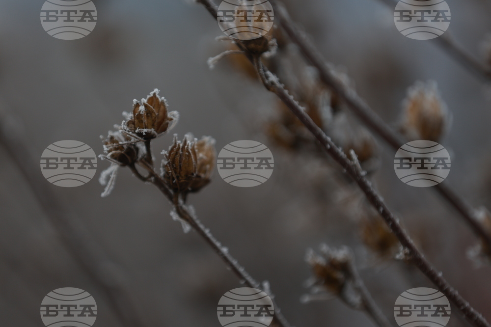 Ежедневие - студено време