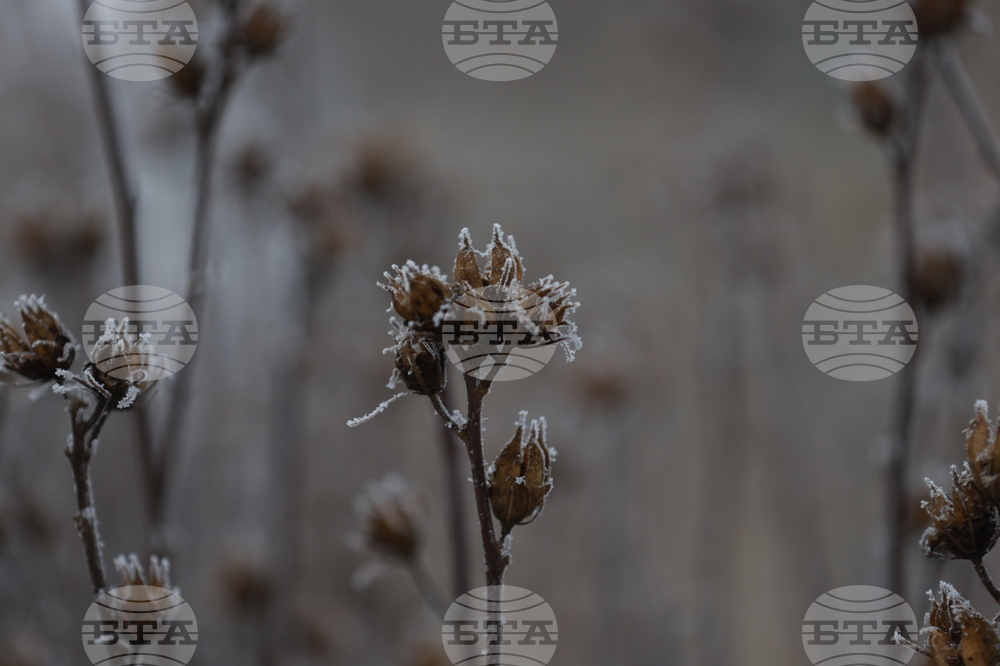 Ежедневие - студено време