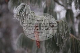 Ежедневие - студено време