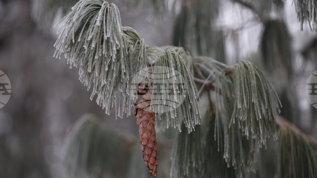 Жълт код за ниски температури е обявен за днес в 14 области в страната 