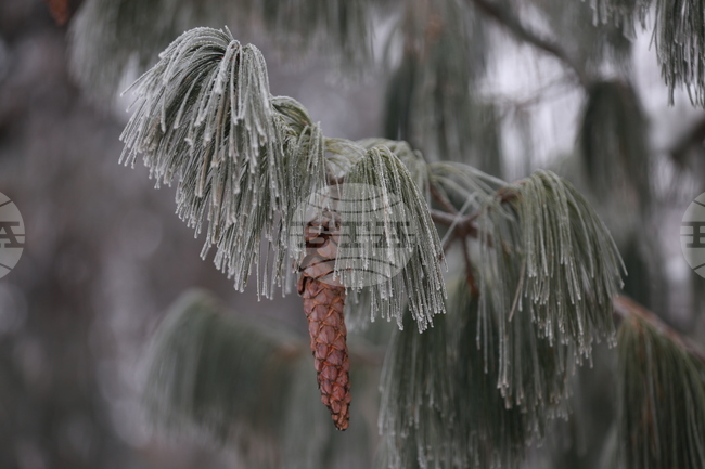 Прогноза за времето 