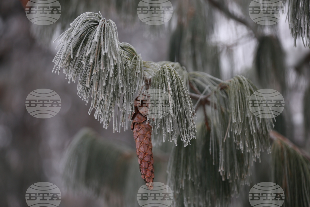 Ежедневие - студено време