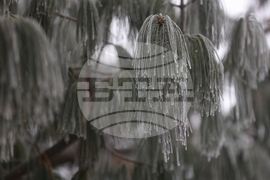 Ежедневие - студено време