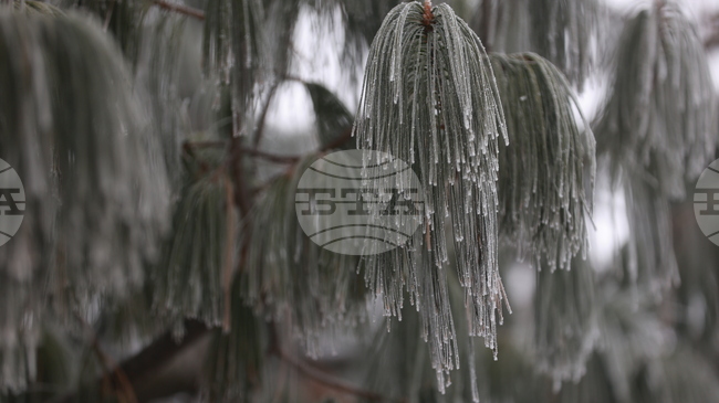 Прогноза за времето