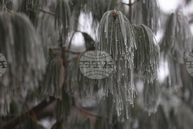 Неподходящи са условията за туризъм на Витоша, пътеките са заледени, съобщиха от Планинската спасителна служба на БЧК