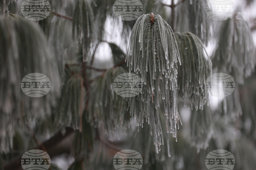 Ежедневие - студено време