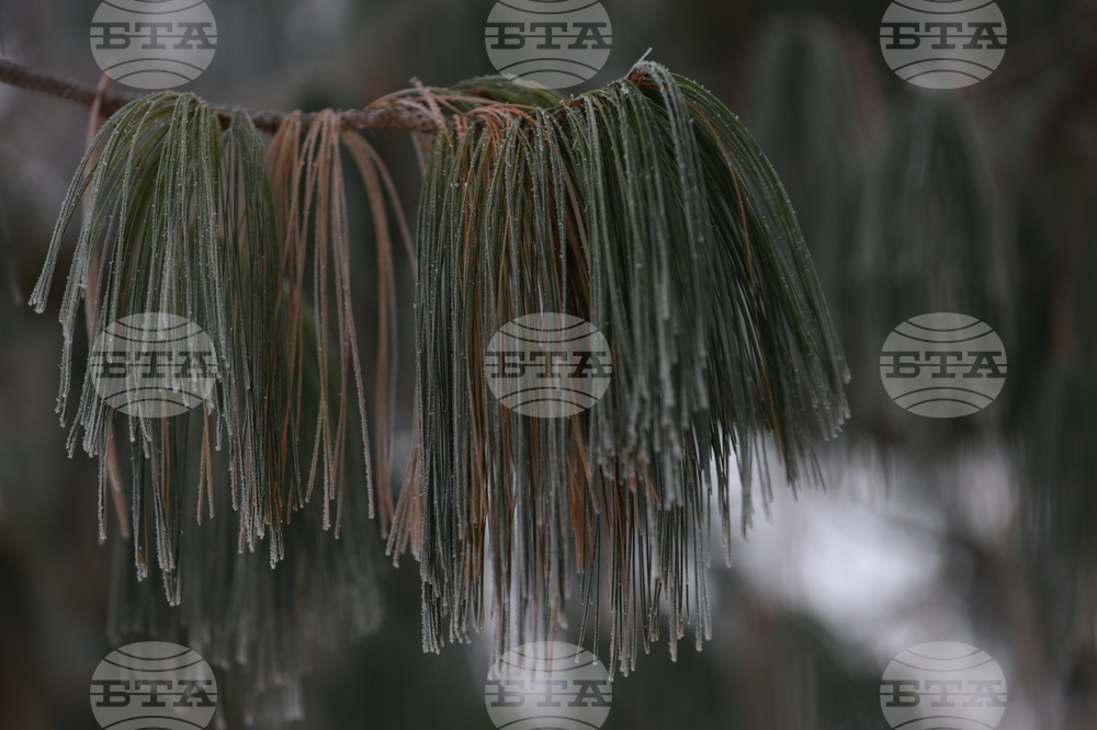 Ежедневие - студено време