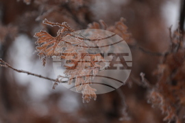 Ежедневие - студено време