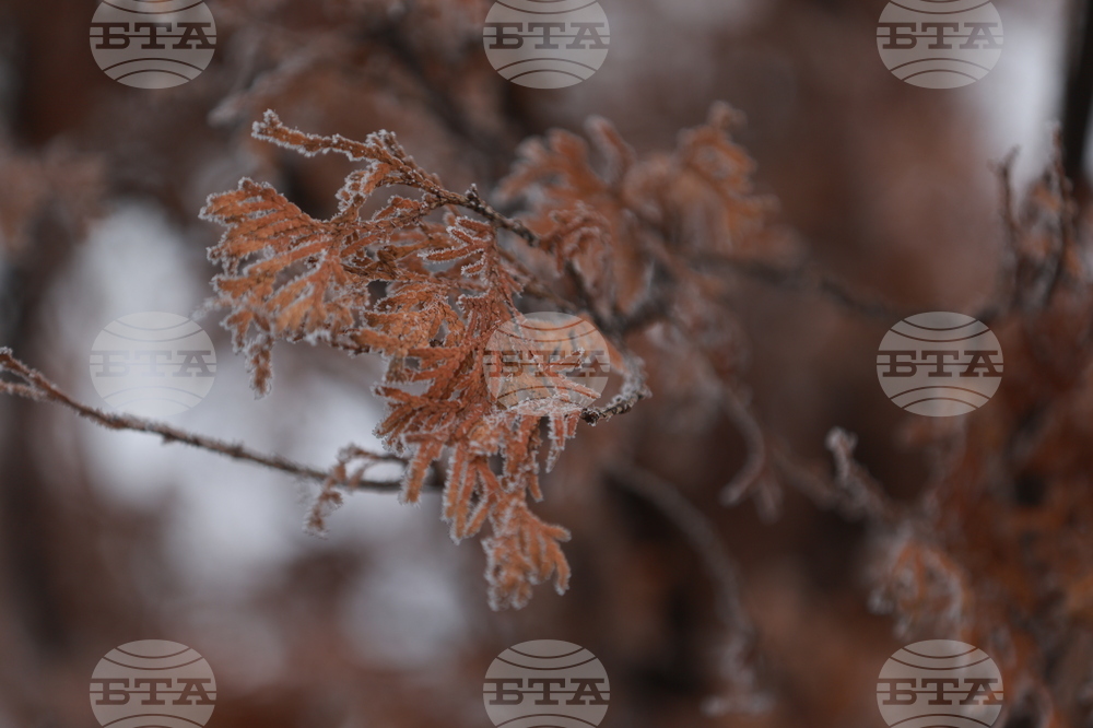 Ежедневие - студено време