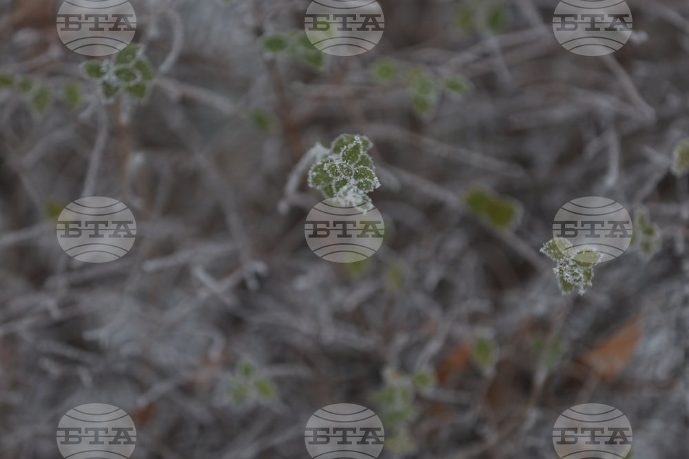 Ежедневие - студено време