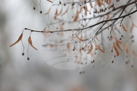 Ежедневие - студено време