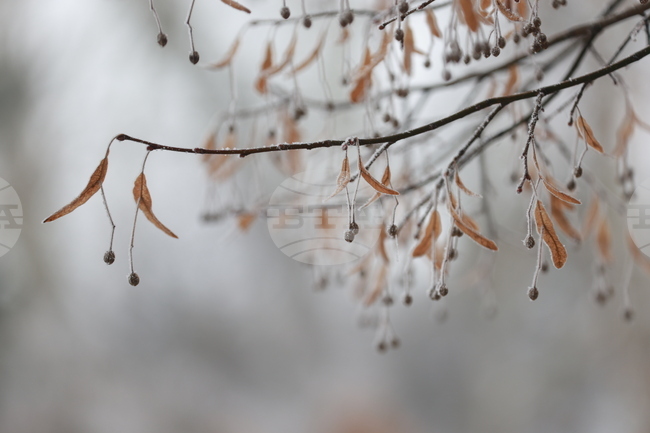 Прогноза за времето