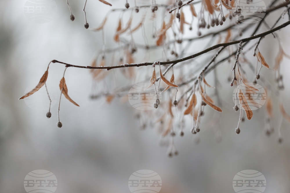 Ежедневие - студено време