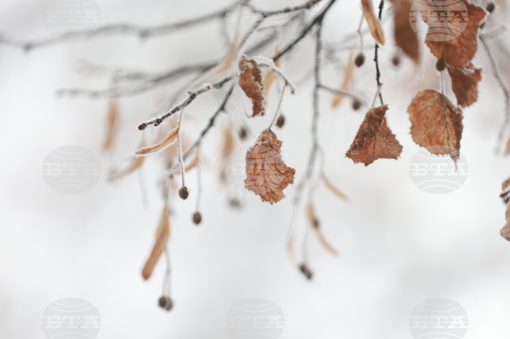 Ежедневие - студено време