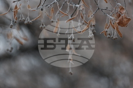 Ежедневие - студено време