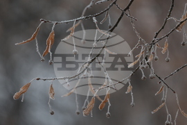 Ежедневие - студено време