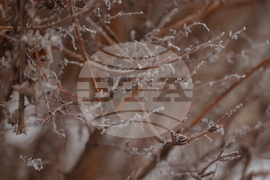 Ежедневие - студено време