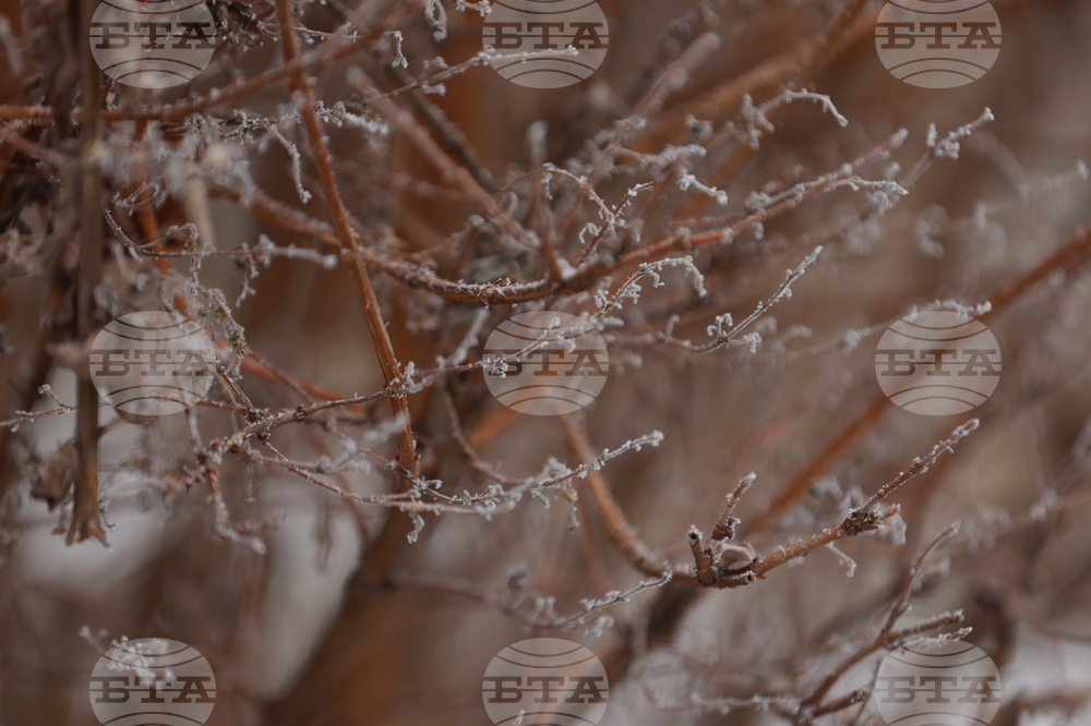 Ежедневие - студено време