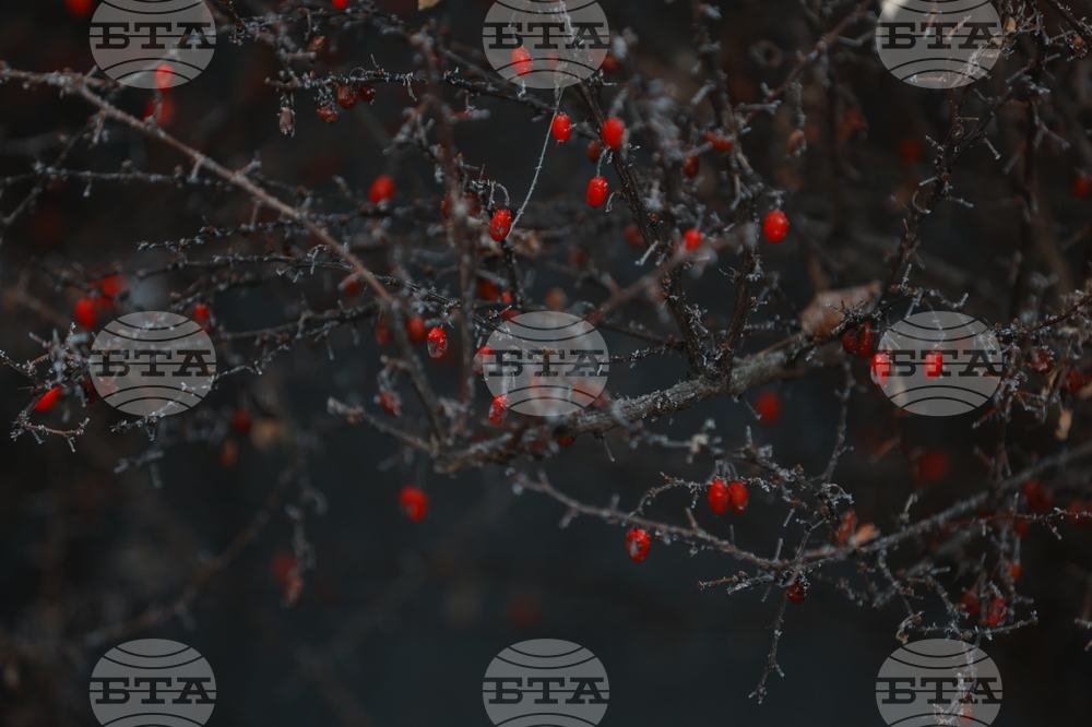 Ежедневие - студено време