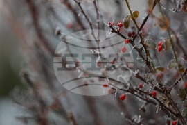 Ежедневие - студено време