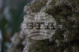 Ежедневие - студено време