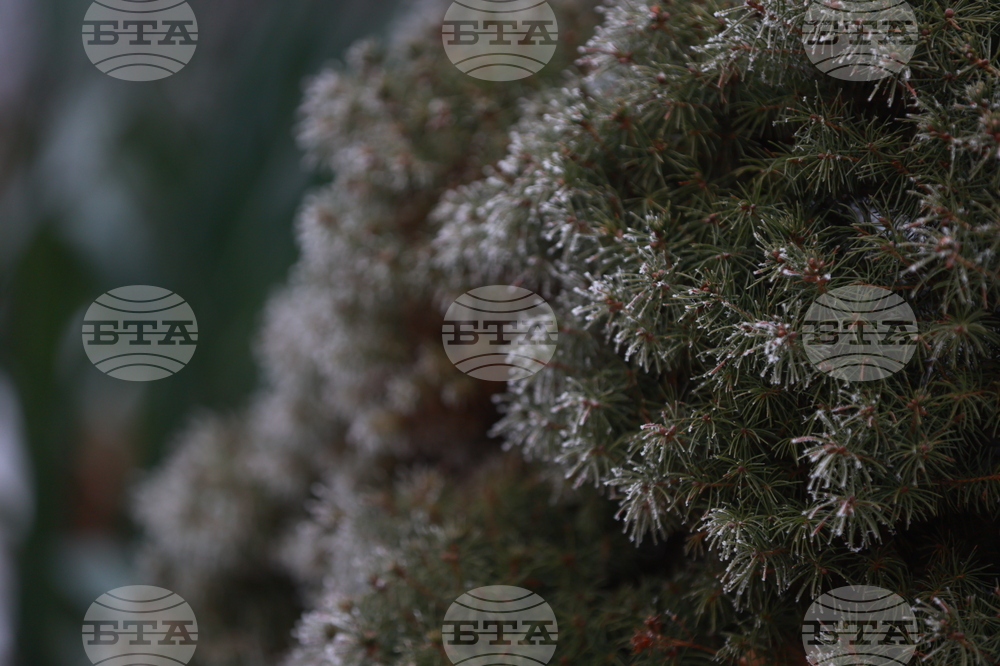 Ежедневие - студено време