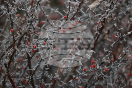 Ежедневие - студено време