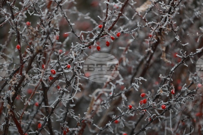 Ежедневие  - студено време 