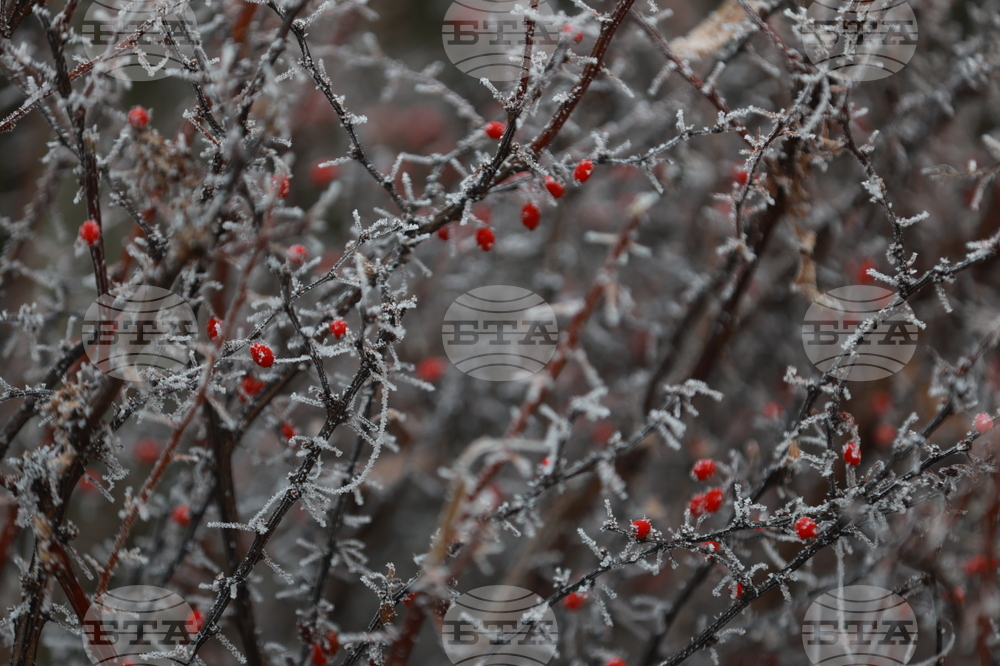 Ежедневие - студено време