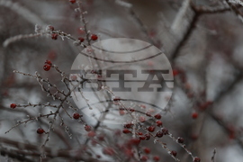 Ежедневие - студено време