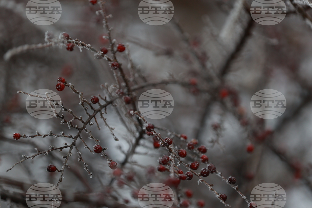 Ежедневие - студено време