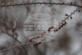 Ежедневие - студено време