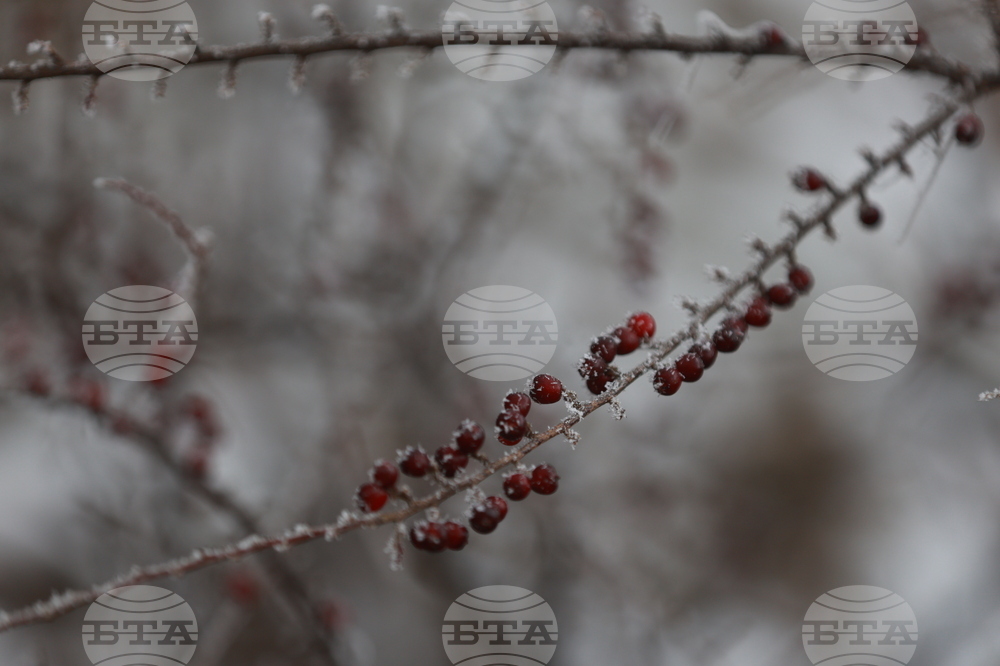 Ежедневие - студено време