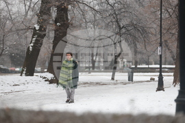 Ежедневие - студено време