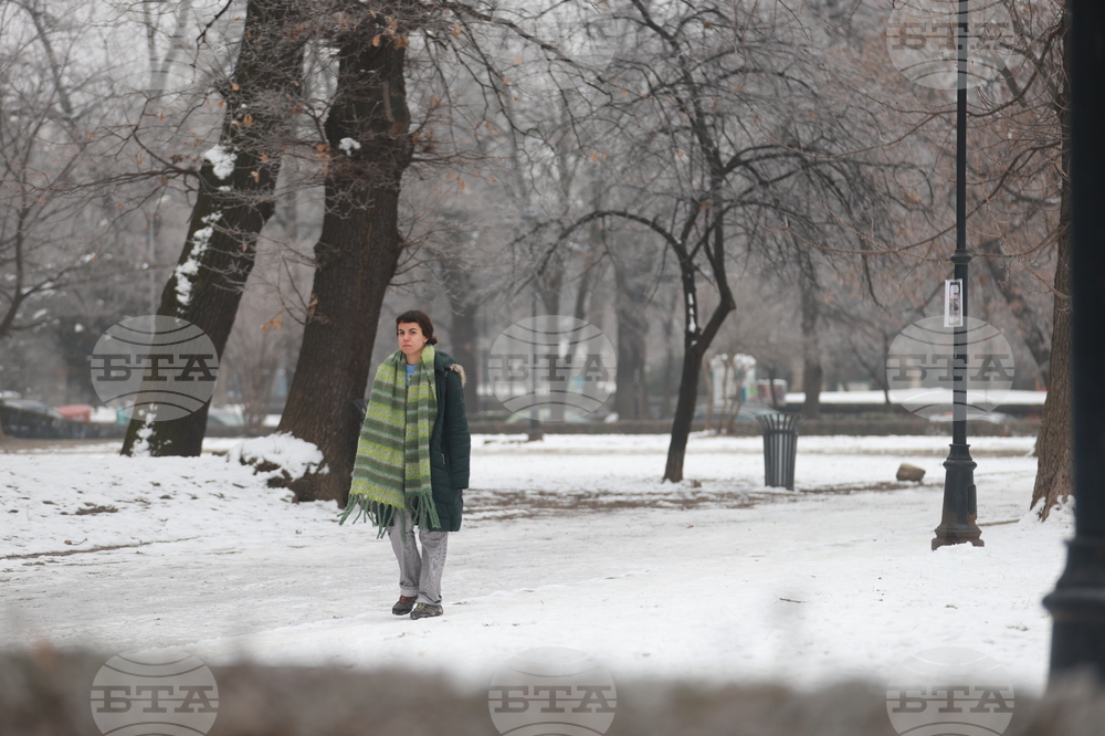 Ежедневие - студено време