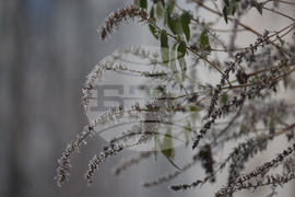 Ежедневие - студено време