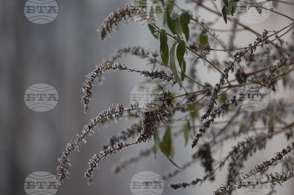 Ежедневие - студено време