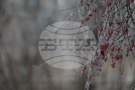 Ежедневие - студено време