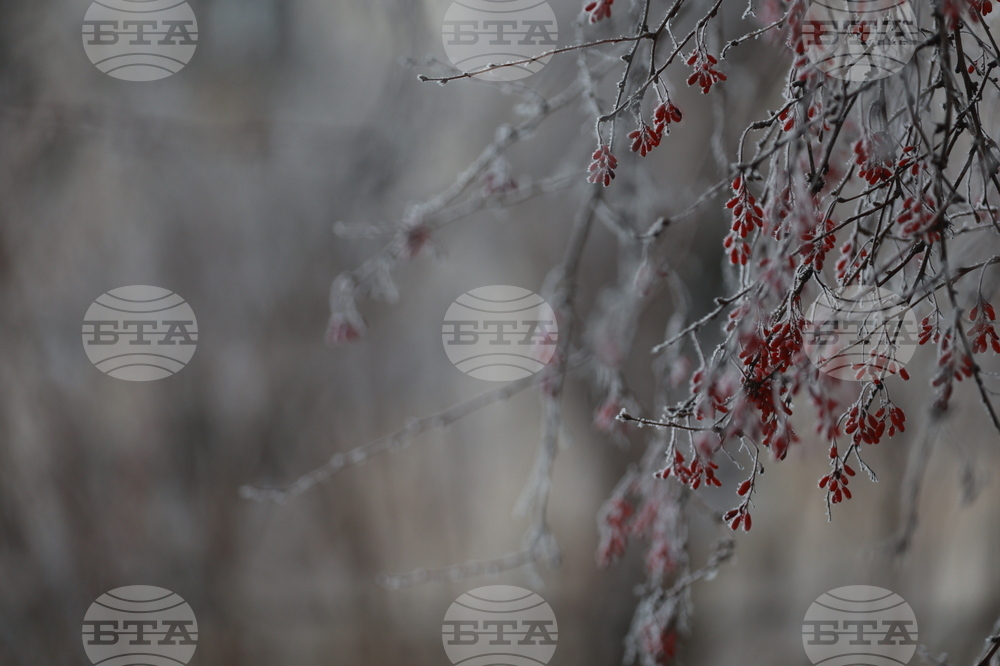 До минус 17 градуса паднаха температурите в Североизточна Турция