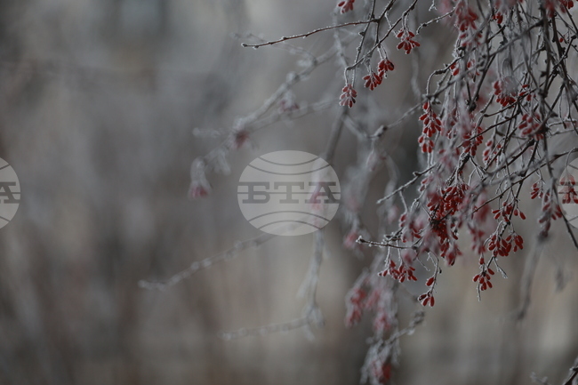 До минус 17 градуса паднаха температурите в Североизточна Турция