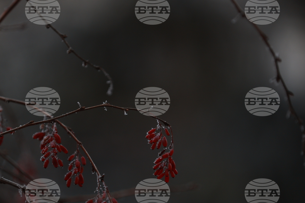 Ежедневие - студено време